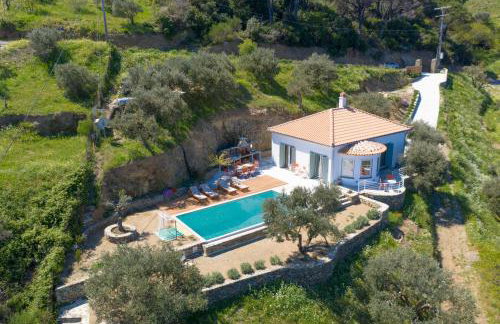 Avgi Villa - Foto 60