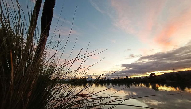 Naviguez sur le fleuve Tweed