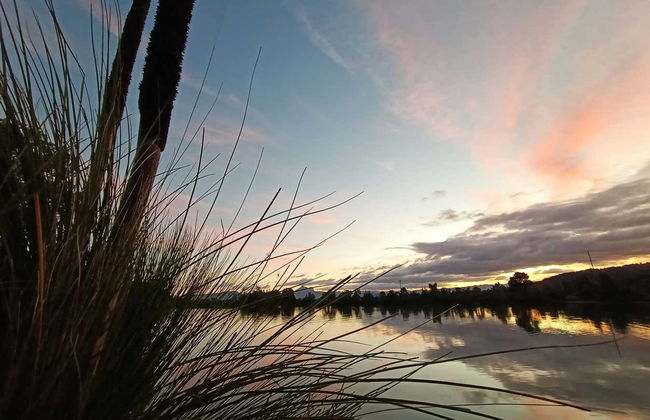 Paseo en barco al atardecer por el río Tweed - Foto 4