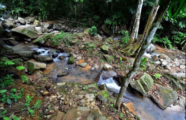 Tanarimba Bentong - Foto 54