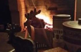 D&S home oinofita - Foto 10