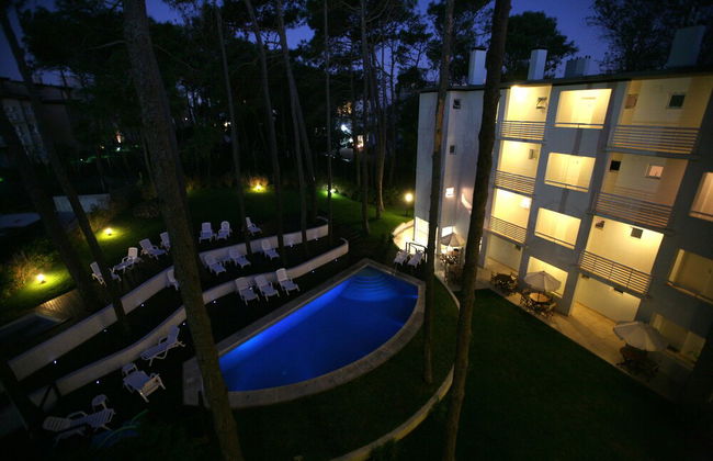 Avutarda de Carilo - Photo 50