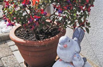 Romantik Ferienhaus 1854 - Foto 22