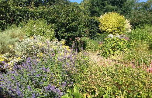 The Old Barn - Foto 34