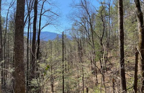 Streamside ShinyTiny Airstream in the Smokies - Foto 12