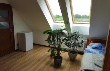 Agroturystyka Pokój na Skarpie - Foto 60