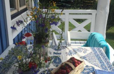 Błękitny Domek - Tleń - Bory Tucholskie - Foto 8