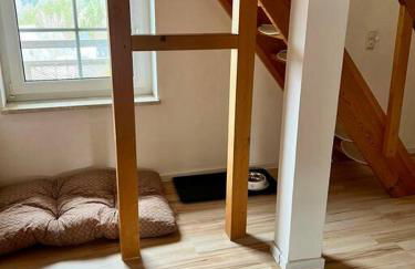 Wanderurlaub mit und ohne Hund! - Foto 16