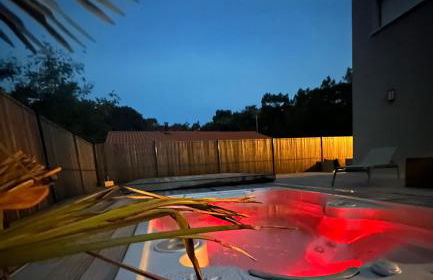 VILLA bord de mer 85 SPA de nage Les Conches - Photo 36