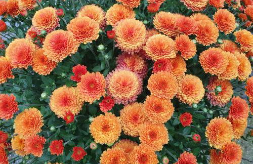 FeWo Deininger - Foto 10