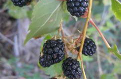 El ático de María - Foto 42