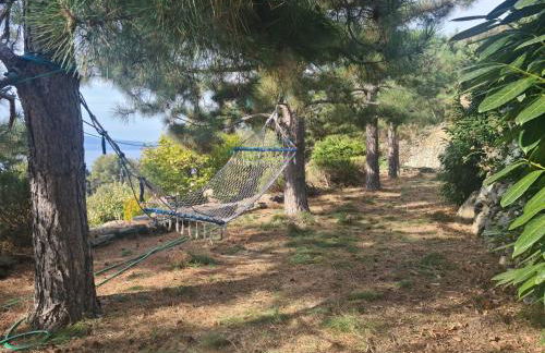 Les Terrasses du Maquis - Foto 12