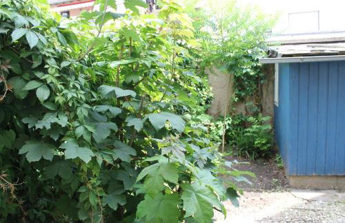 Apartments Via Vita - Foto 56