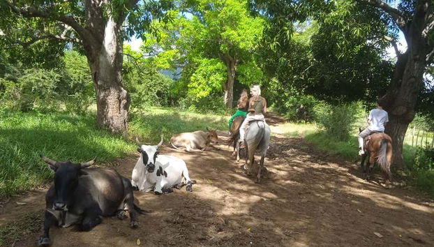 Horse Riding in The Parque El Cubano Natural Park - Foto 2