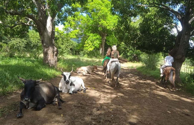 Horse Riding in The Parque El Cubano Natural Park - Foto 2