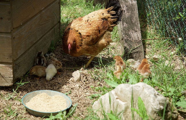 Apartment in Todi With Pool and Garden - Foto 22