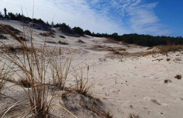 Domki Miłe Chwile - Foto 34