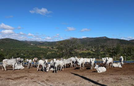 Rancho Topo da Montanha, 60 km de Belo Horizonte - Foto 19