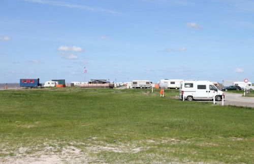Kuh Blick Ferienhaus Sehestedt - Photo 26