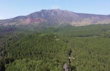 Poggio Roseto - Foto 92