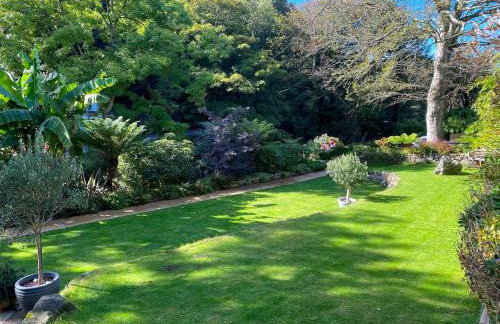 Tropical Gardens 1 bed cottage Central Newlyn - Photo 49