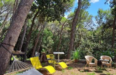 La casa in pineta - Foto 1