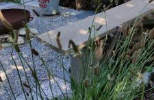 Ruralna kuća za odmor Pozojova hiža - Rural Holiday House - Foto 33