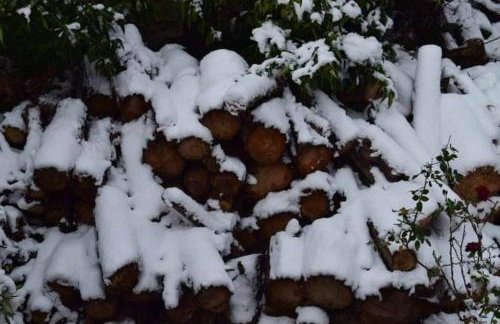 Georgia's Village House - Foto 37