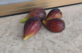 La Maison de André - Foto 15