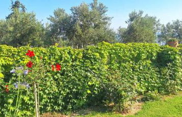 Sea view villa Manolis with private pool near the beach - Foto 29