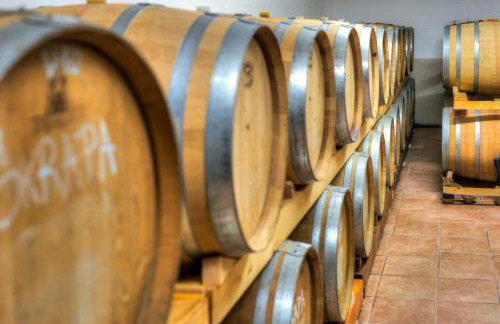 Wine house Marlais - Foto 25