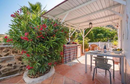 Cortijo La Alamea - Photo 19