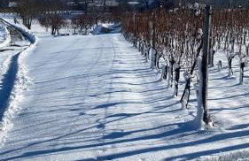 Apartment Wine Tale - Foto 39