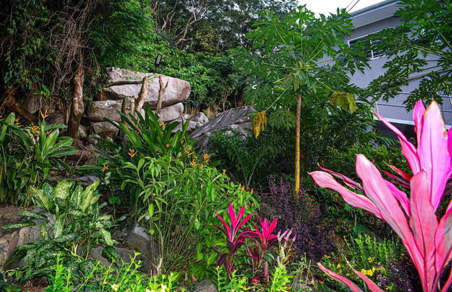 Wild Vanilla Apartment - Photo 46