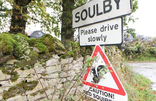 La'l Skaithe - Foto 25