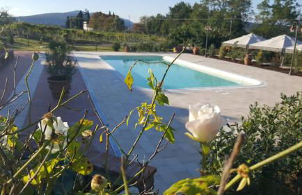 Agriturismo Ai Mandrioli - Foto 15