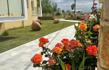 Studios Afrodite - Foto 28