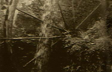 La camera nel villaggio - Foto 18