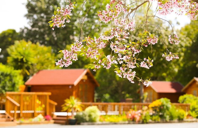 Orere Point TOP 10 Holiday Park - Foto 12