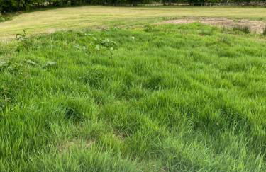 Pirnie Lodge Holiday Lets - Foto 59