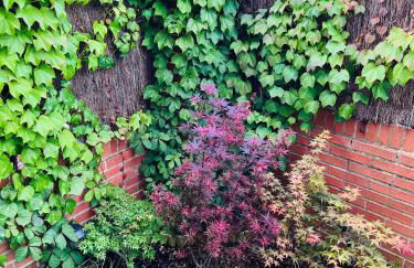 APARTAMENTO con Jardín en Bádames - Foto 30