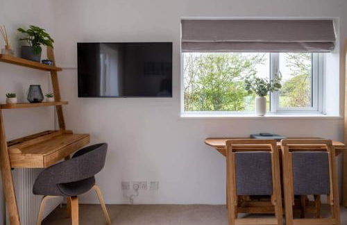 Little Nye - Foto 12