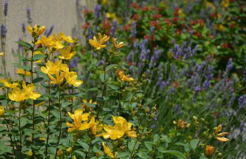 Casa Rural Runa - Foto 22