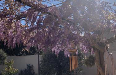 villa Provençal près de la mer - Foto 36