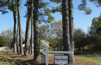 In the Woods by a Pond! Sugar Ranch Guest House! - Foto 23