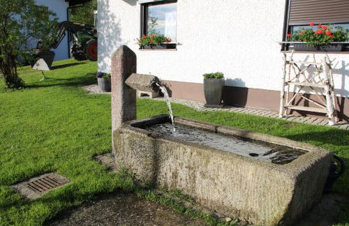 Apartman Mitterdorf Almberg 7 - Foto 16