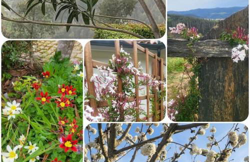 Coja Mountain Perch - Foto 20