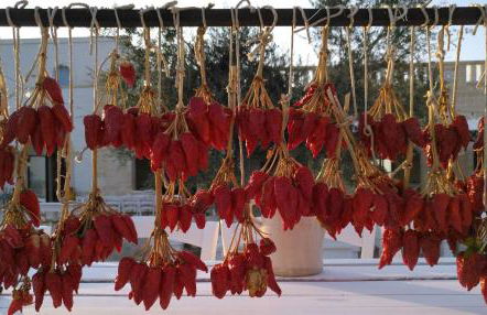 Masseria Fulcignano - Foto 59