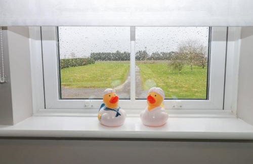 Hollymoor Hall Farm - Photo 41