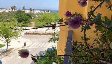 Los Naranjos Mar. - Photo 3